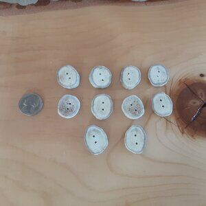 Set Of 10 Handcrafted Authentic Mule Deer Antler Buttons